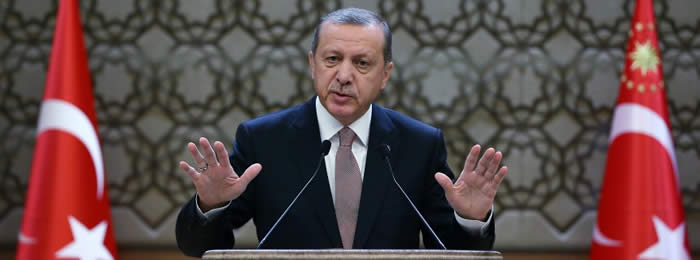 Erdogan zu Su-24-Abschuss: “Wir wünschten, es wäre nicht passiert”